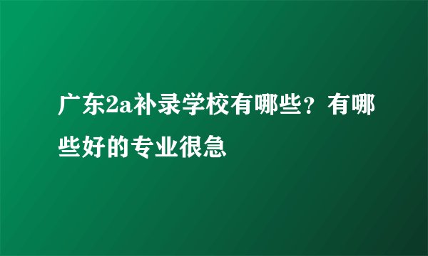 广东2a补录学校有哪些?有哪些好的专业很急