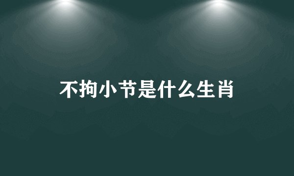 不拘小节是什么生肖