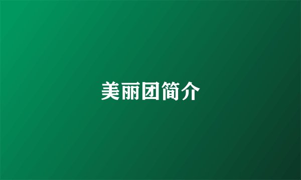 美丽团简介