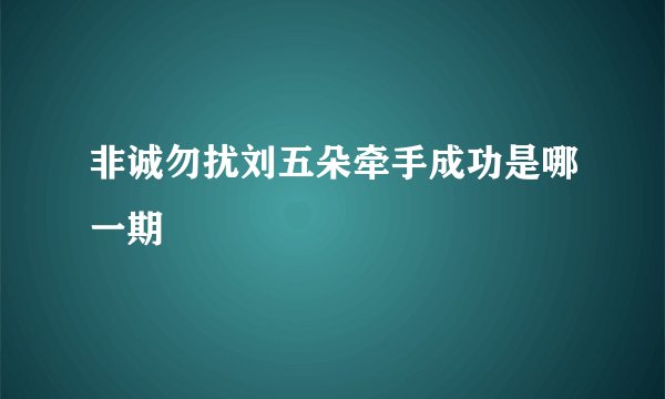 非诚勿扰刘五朵牵手成功是哪一期