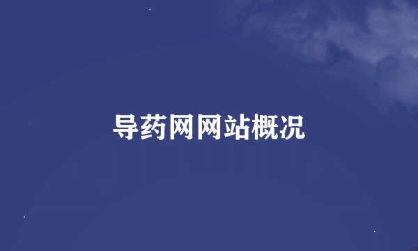 导药网网站概况
