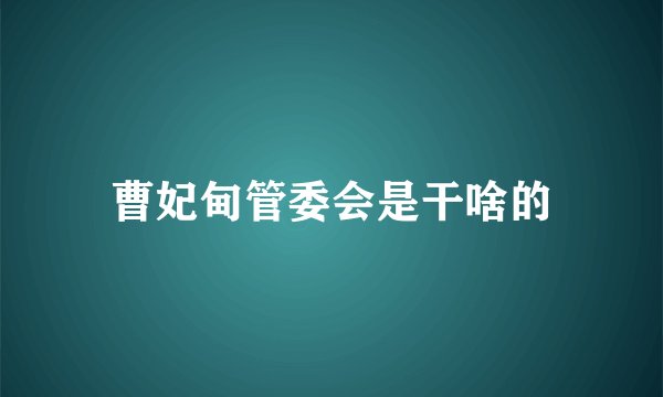 曹妃甸管委会是干啥的