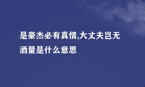 是豪杰必有真情,大丈夫岂无酒量是什么意思