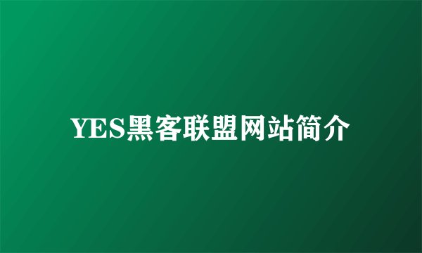 YES黑客联盟网站简介