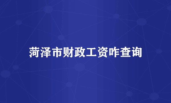菏泽市财政工资咋查询