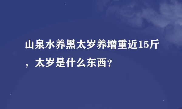 山泉水养黑太岁养增重近15斤，太岁是什么东西？