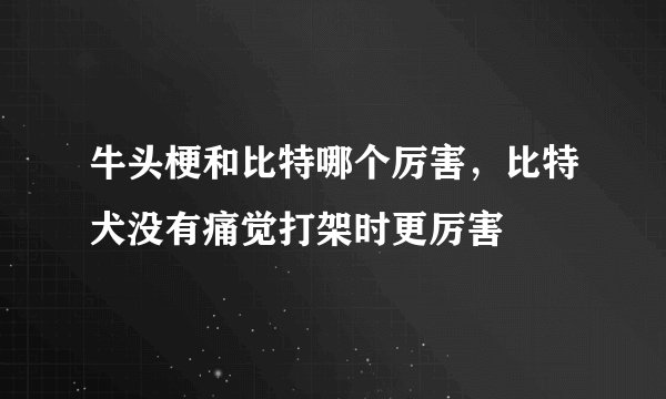 牛头梗和比特哪个厉害,比特犬没有痛觉打架时更厉害