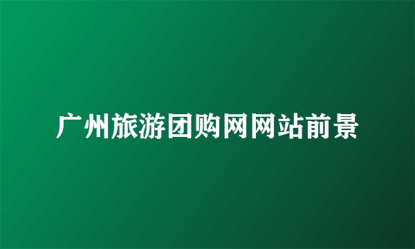 广州旅游团购网网站前景