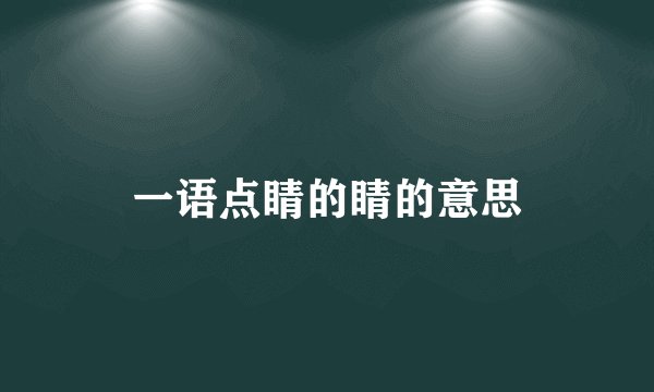 一语点睛的睛的意思