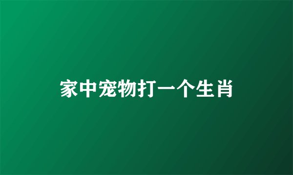 家中宠物打一个生肖