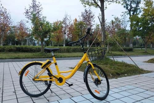 两名清华学生接力状告ofo均败诉,为何没有诉讼成功?