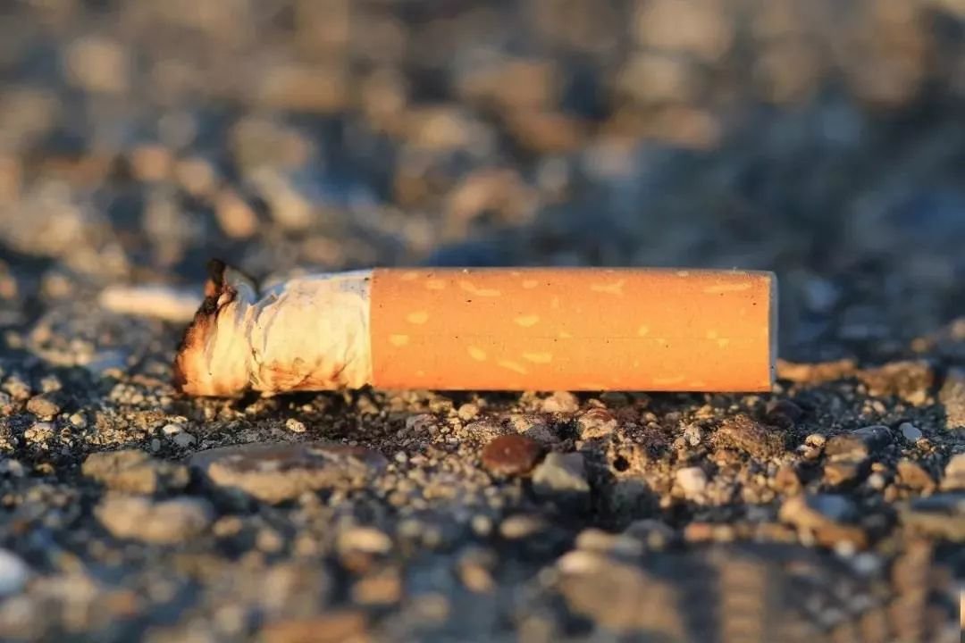 吉林民警讲述抓捕朱贤健细节,哪些信息值得关注?