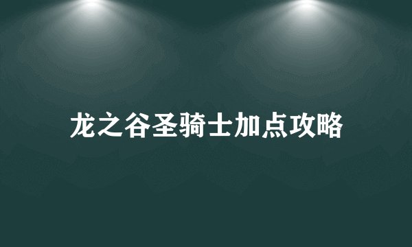 龙之谷圣骑士加点攻略