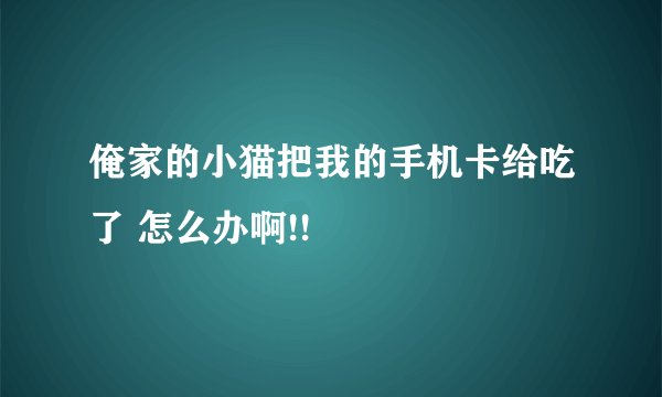 俺家的小猫把我的手机卡给吃了 怎么办啊!!