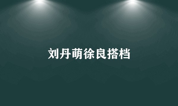 刘丹萌徐良搭档
