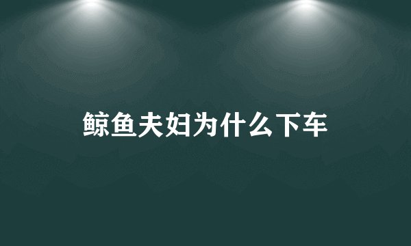 鲸鱼夫妇为什么下车