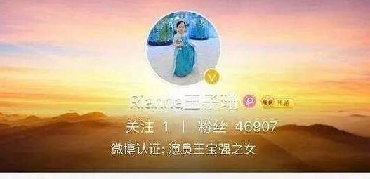 马蓉向王宝强道歉说了什么?