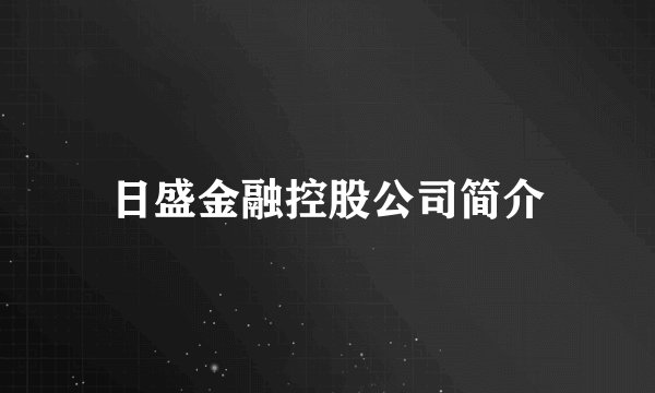 日盛金融控股公司简介