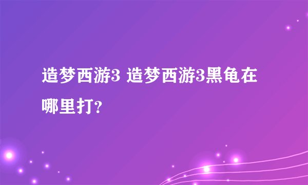造梦西游3 造梦西游3黑龟在哪里打？