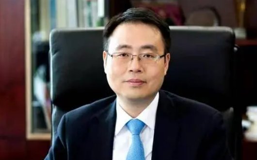 股价一度触及跌停,南京银行行长林静然辞职,林静然会何去何从?