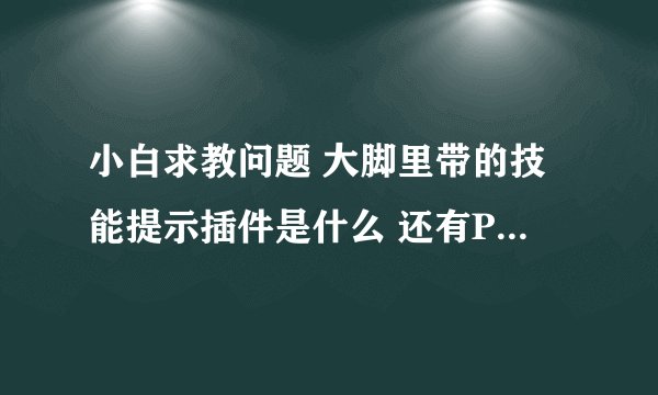 小白求教问题 大脚里带的技能提示插件是什么 还有POWA和Power Auras是一个插件吗