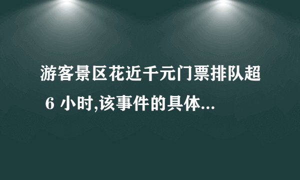 游客景区花近千元门票排队超 6 小时,该事件的具体情况是什