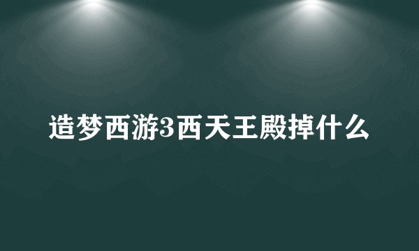 造梦西游3西天王殿掉什么