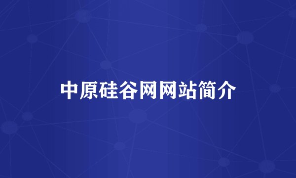 中原硅谷网网站简介