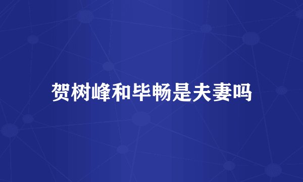贺树峰和毕畅是夫妻吗
