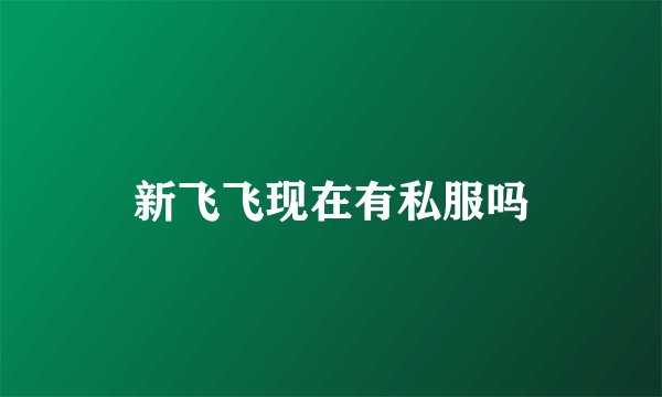 新飞飞现在有私服吗