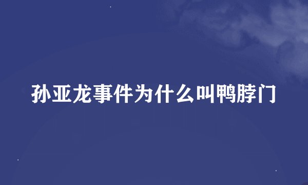 孙亚龙事件为什么叫鸭脖门