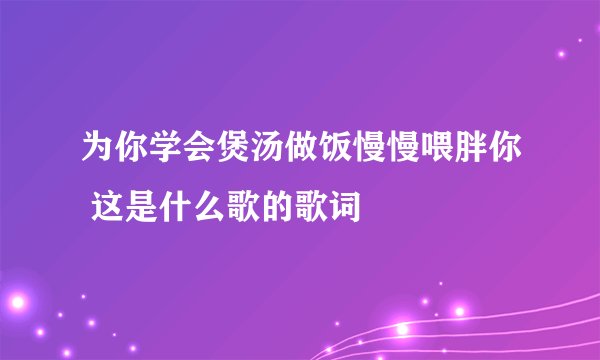 为你学会煲汤做饭慢慢喂胖你 这是什么歌的歌词