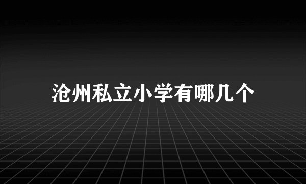 沧州私立小学有哪几个