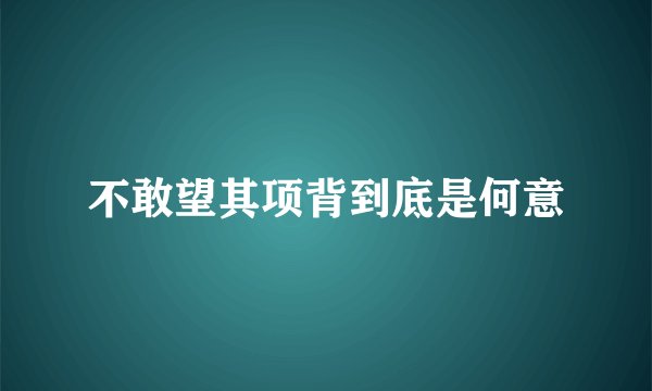 不敢望其项背到底是何意