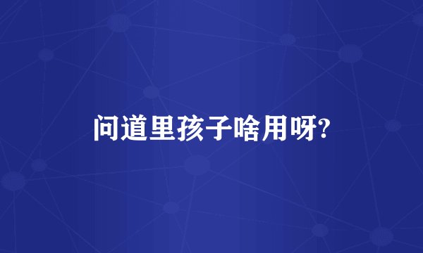问道里孩子啥用呀?