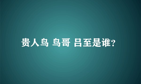 贵人鸟 鸟哥 吕至是谁？