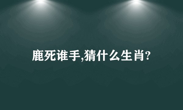 鹿死谁手,猜什么生肖?