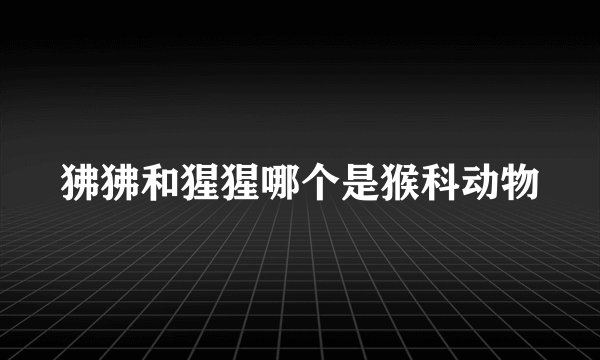 狒狒和猩猩哪个是猴科动物