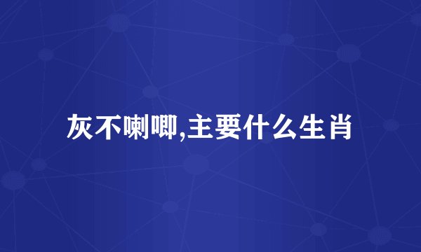 灰不喇唧,主要什么生肖