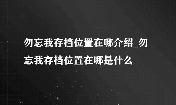 勿忘我存档位置在哪介绍_勿忘我存档位置在哪是什么