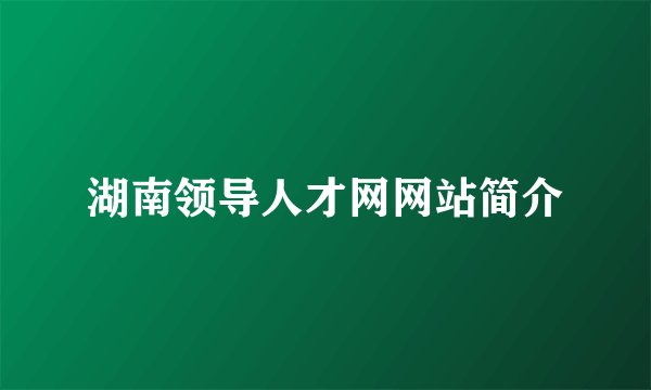 湖南领导人才网网站简介