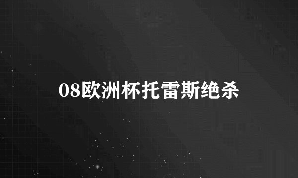 08欧洲杯托雷斯绝杀