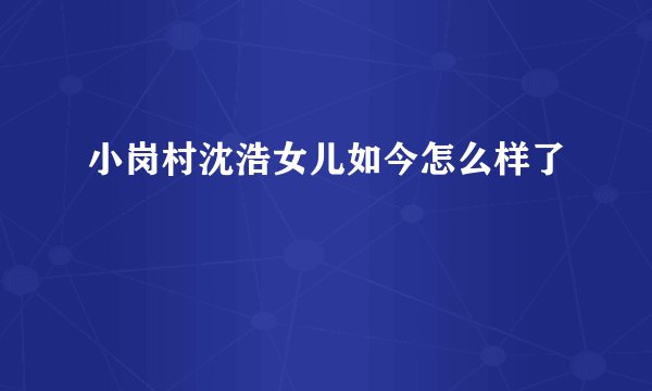 小岗村沈浩女儿如今怎么样了