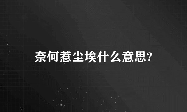 奈何惹尘埃什么意思?