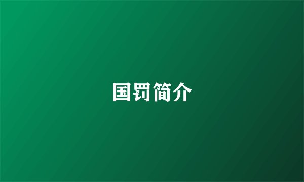 国罚简介