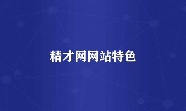 精才网网站特色