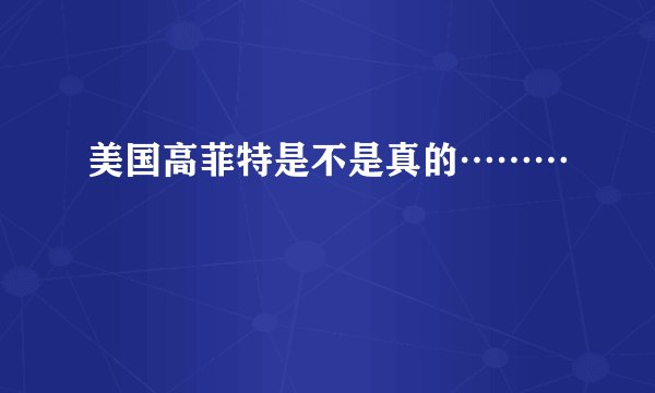 美国高菲特是不是真的………