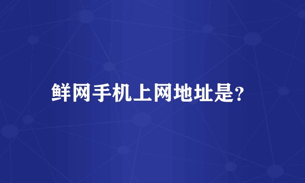 鲜网手机上网地址是？