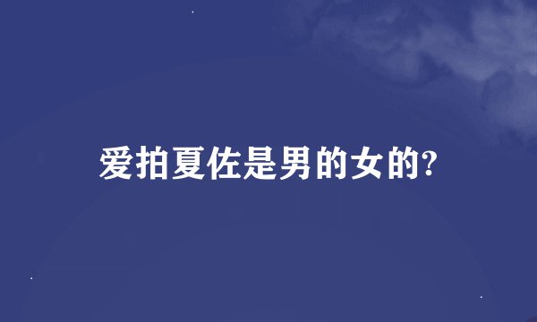 爱拍夏佐是男的女的?
