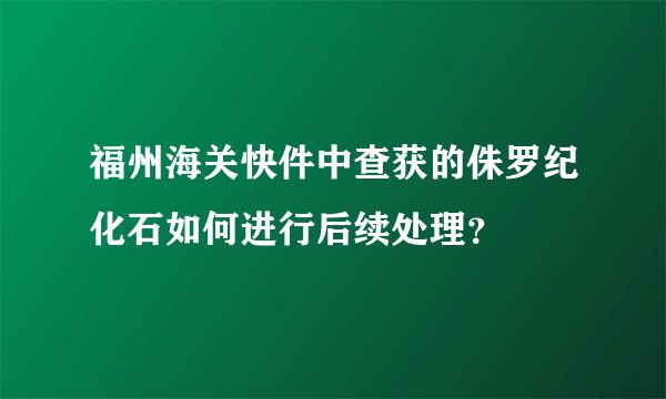 福州海关快件中查获的侏罗纪化石如何进行后续处理?